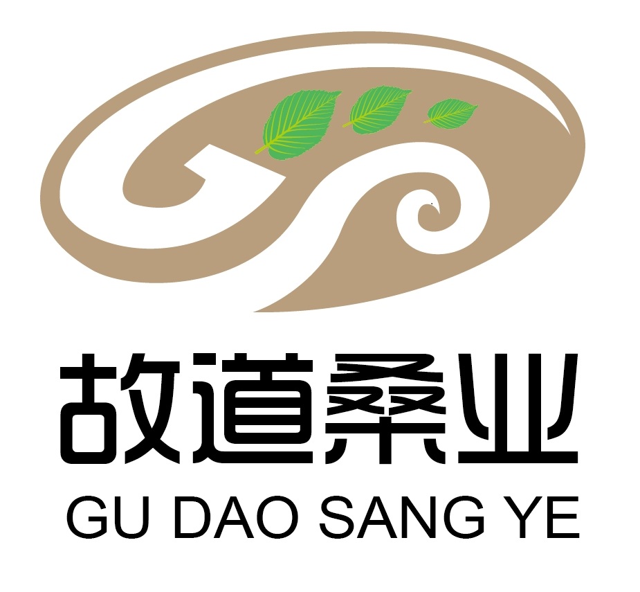 喝茶就可以防脫生發(fā)，太神奇了！桑葉養(yǎng)生茶